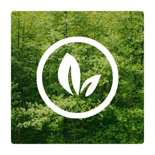 Ecologicamente Correto