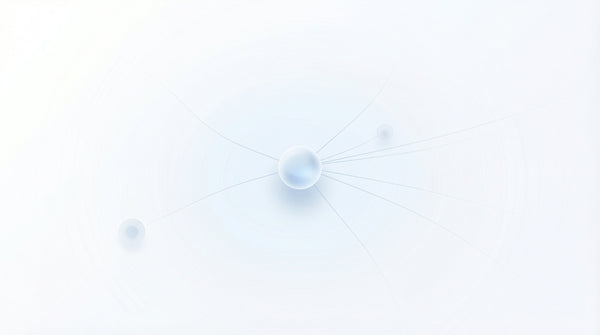 how to grow your professional network from scratch - Wave Connect