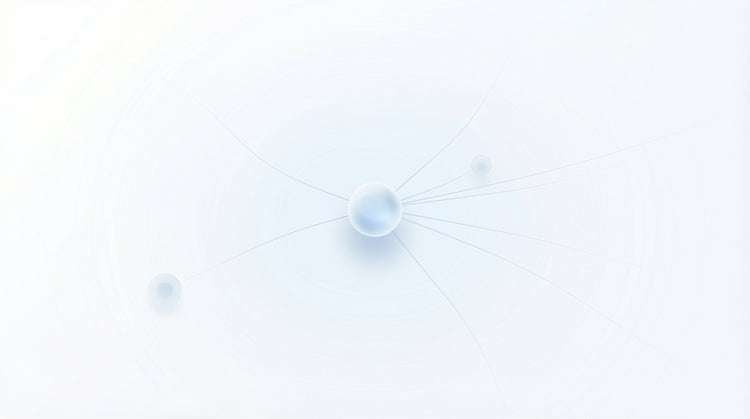 how to grow your professional network from scratch - Wave Connect